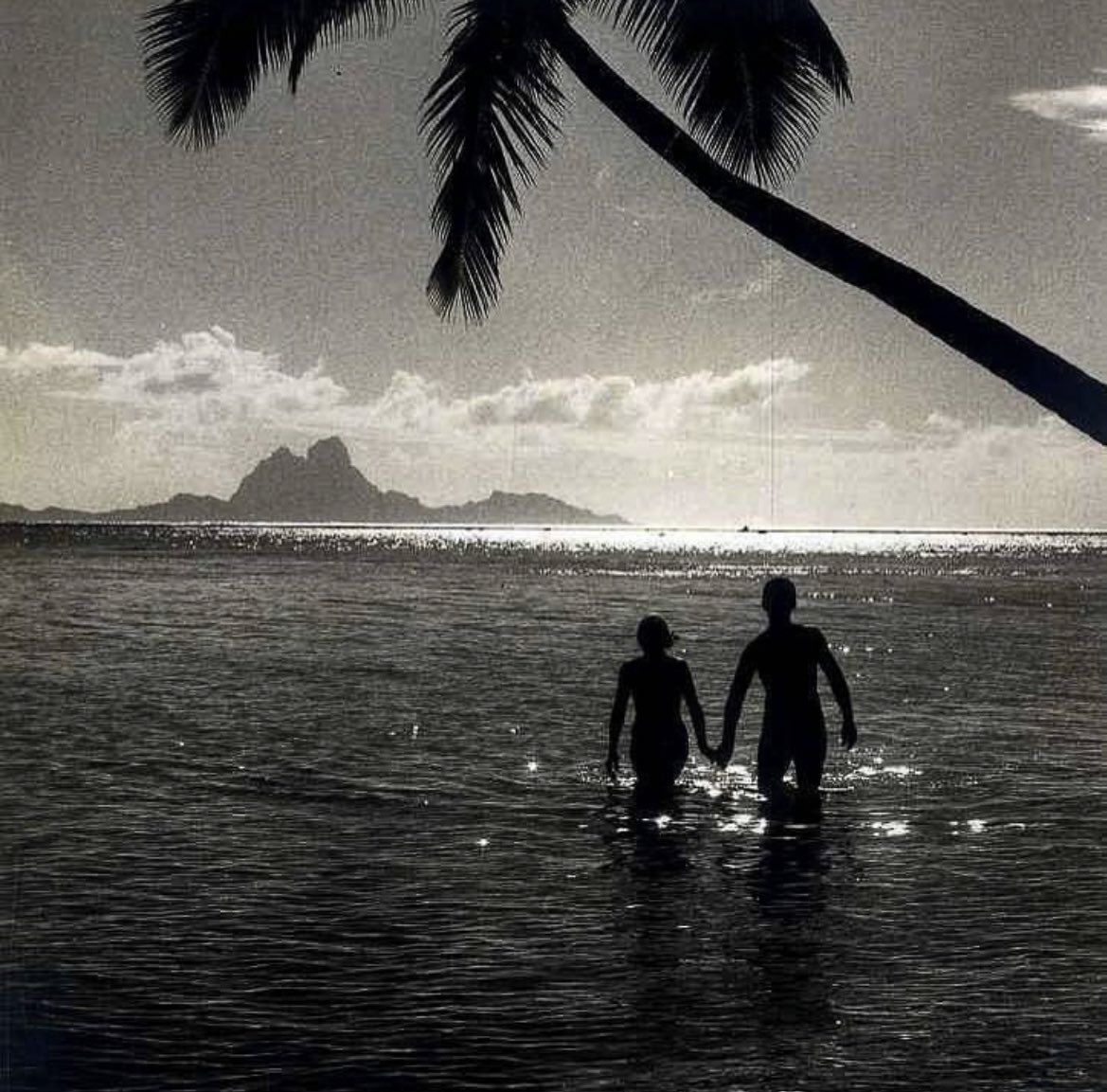 بحر 🌊 (@butterflless) on Twitter photo 