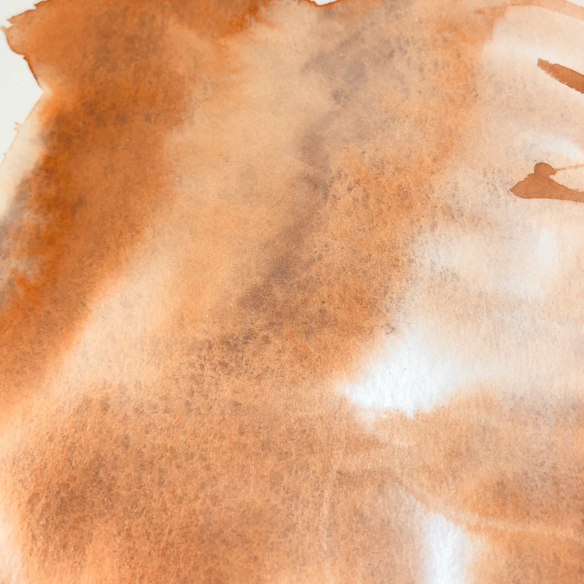 🎨新作のご紹介🎨
 - 極楽鳥花 - Strelizia reginae -
＜グラニュレーションカラー＞
打撲のような錆のような…鮮やかなオレンジ色の奥にブルーが隠れています。

使用：アルビレオ水彩紙

#オリジナル透明水彩iomaiart