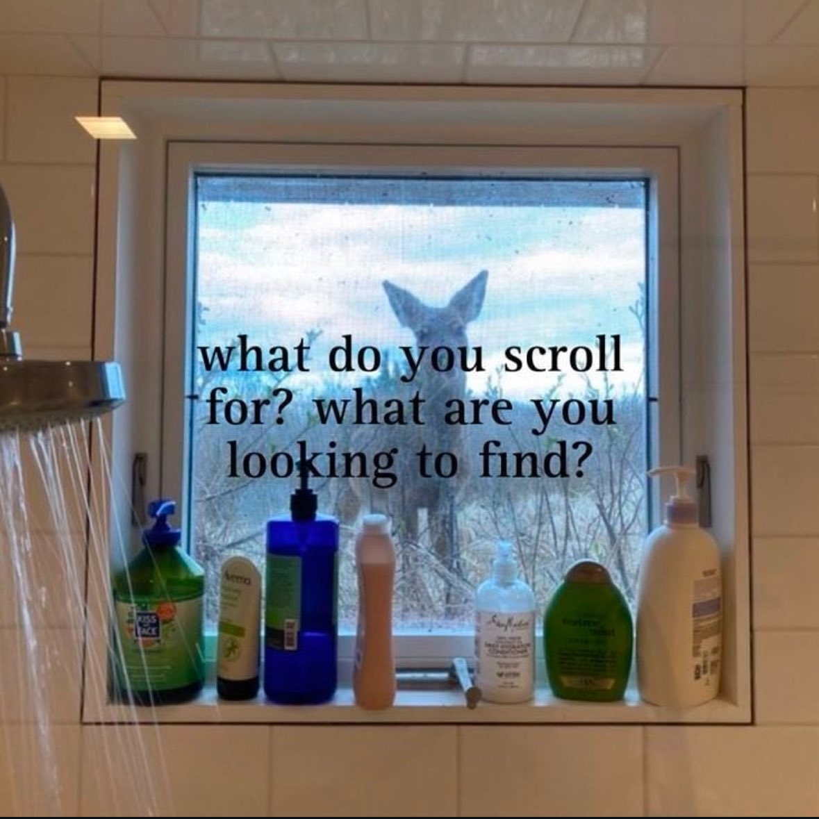 ✧ (@northstardoll) on Twitter photo 