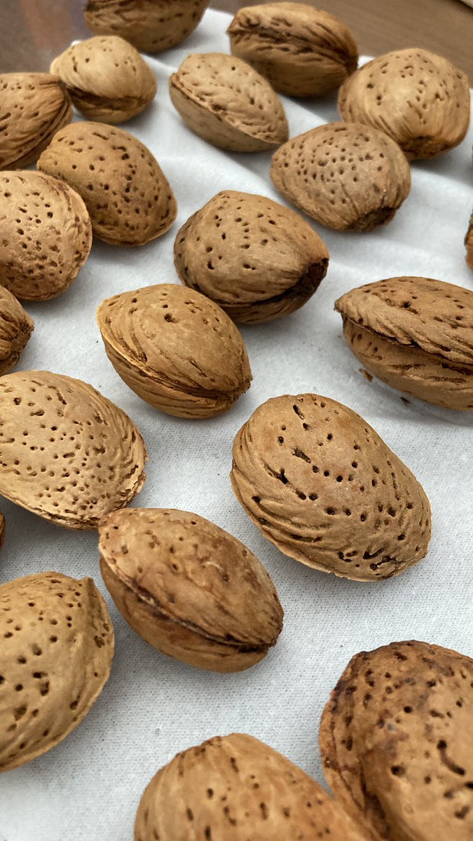 殻付きアーモンド、買ってはみたものの食べ方がわからない…
生なのか？ローストされているのか…？