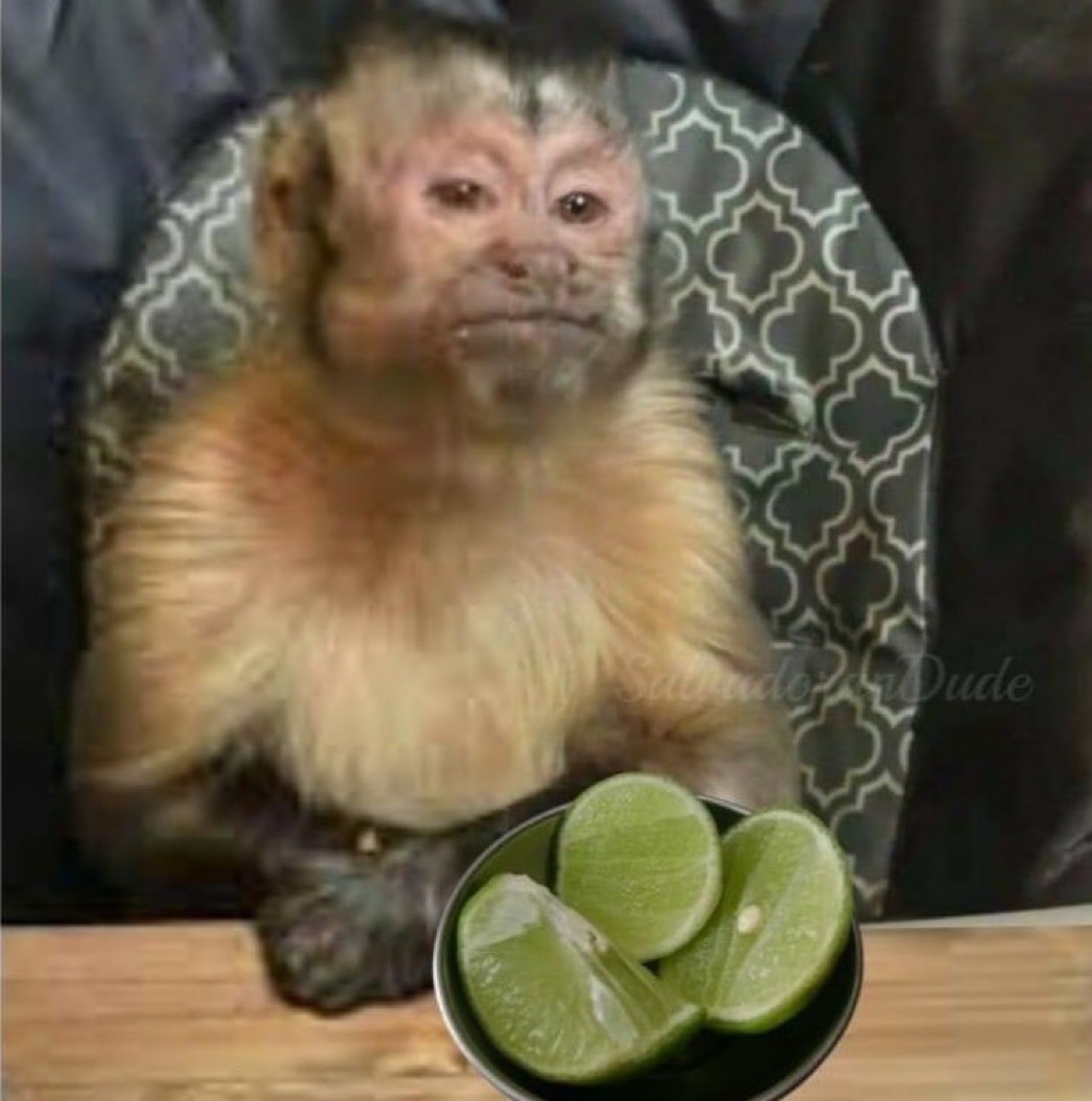 Guarromantico_'s tweet photo. — ¿No me caerán mal esos limones así? 
— ¿Así como? 
— Así sin tequila. https://t.co/ROiUn4xj43