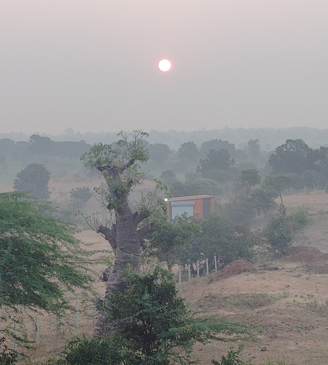सुबह सुबह गांव का शानदार दृश्य... 

सुप्रभात मित्रों 🌞🌄🌅🌄🌞