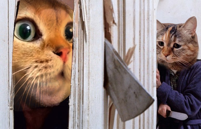 holy ****, This is a whole new level of spicy danger 😂