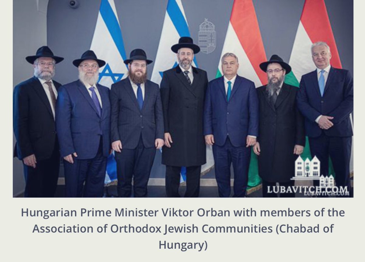 Vet_TX_vet23 tweet media