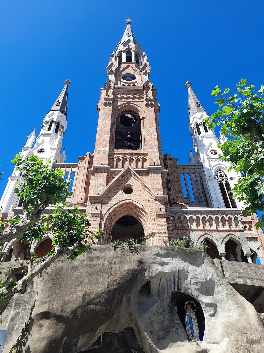 Lucas Martin tweet media