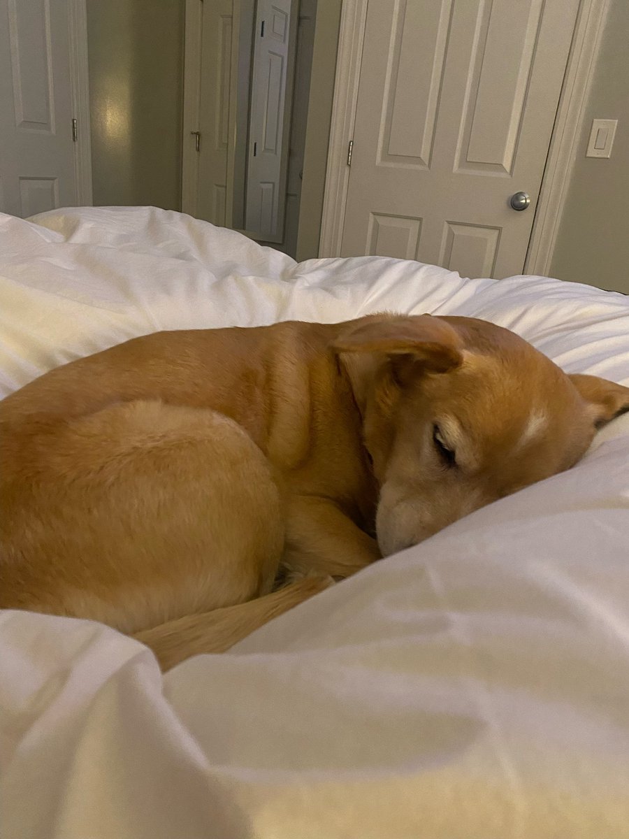 MissFitzReading tweet media