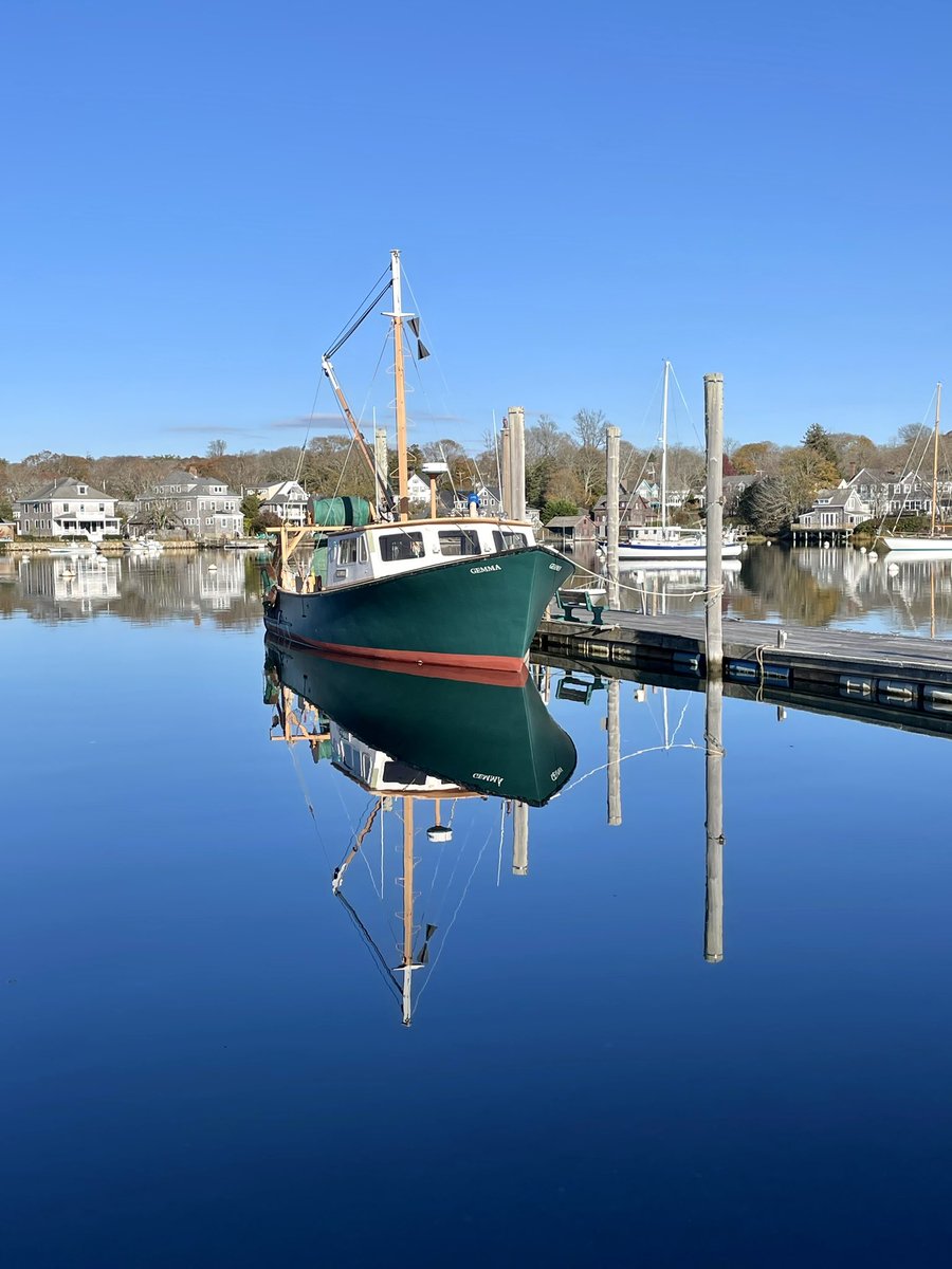 Some reflections of the Gemma this week <a href="/MBLScience/">Marine Biological Laboratory (MBL)</a>