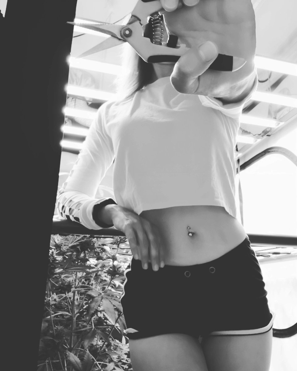 🆈 🅱 tweet media