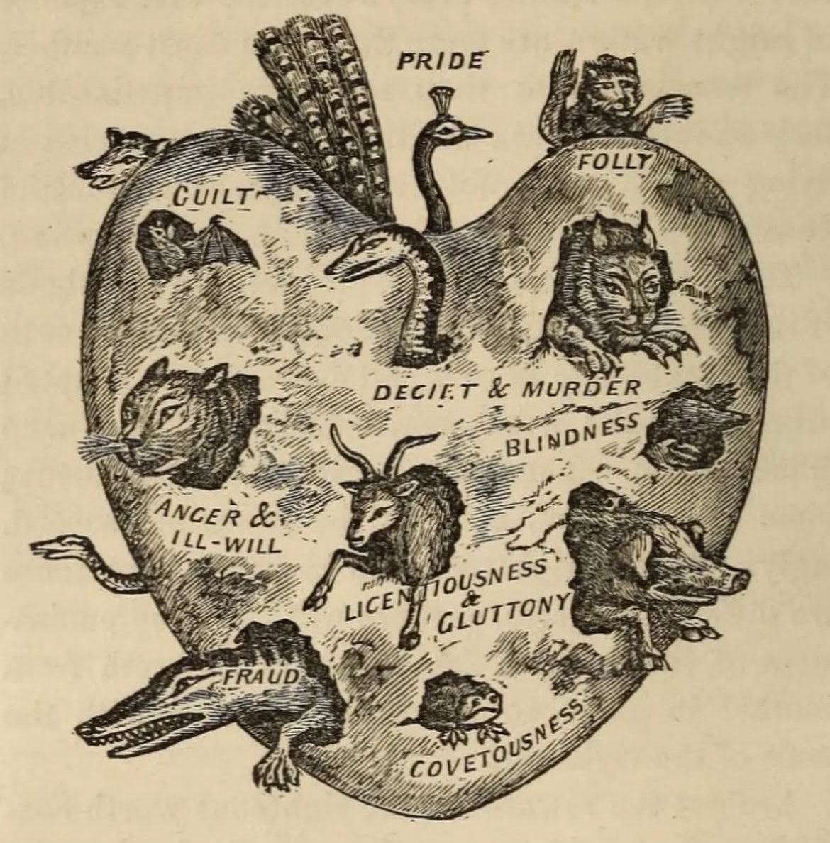 plum (@fizzfug) on Twitter photo 