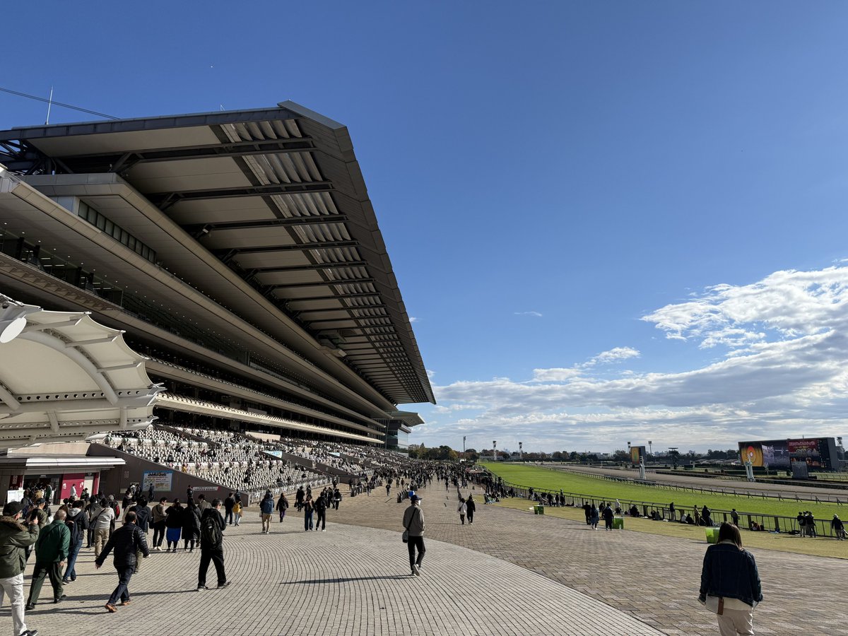 PROCESS_flyingV's tweet photo. わかっていても
それでもやっぱり

東京競馬場 https://t.co/uC1Qhnh5Q8
