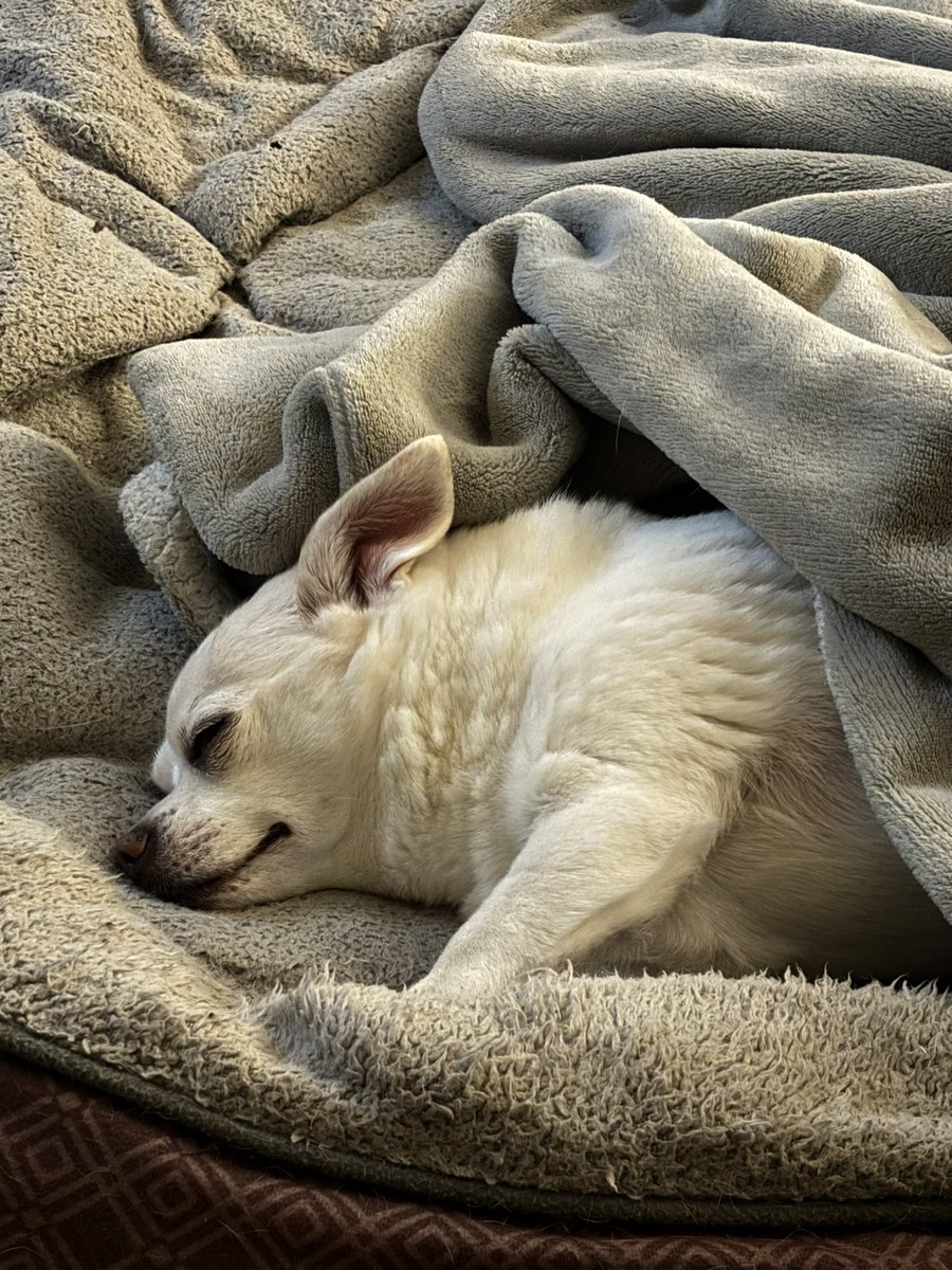 How peaceful it must be to not have to fight every day for eras tickets 😇