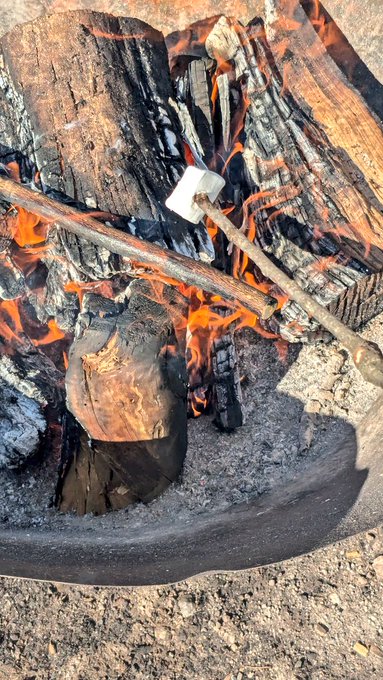 マシュマロ焼いてます🔥 