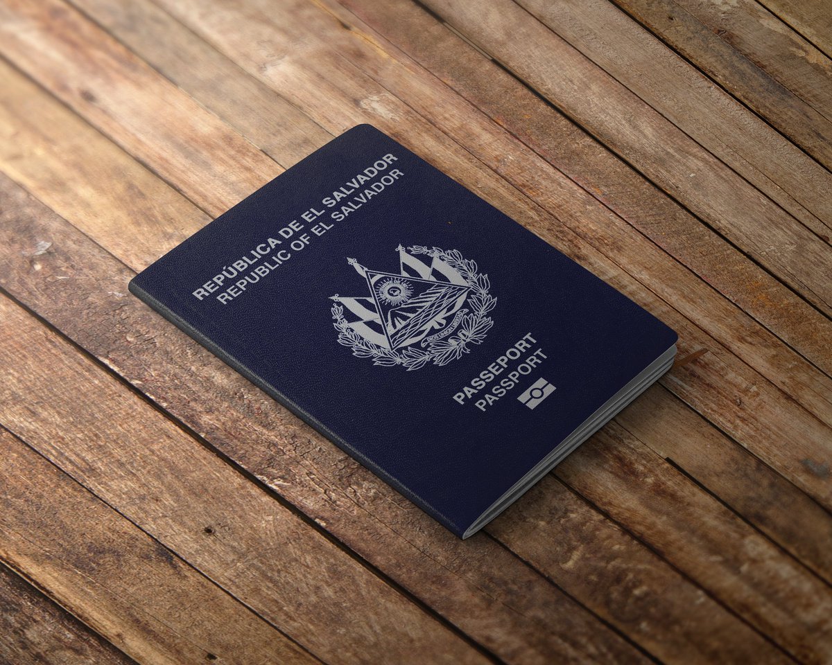 GeovanyGN's tweet photo. @nayibbukele Nayib, porfavor rediseñen el pasaporte salvadoreño, esta sería un buen concepto, la página principal de la información personal es muy pálida y básica. https://t.co/2r1r145jvK