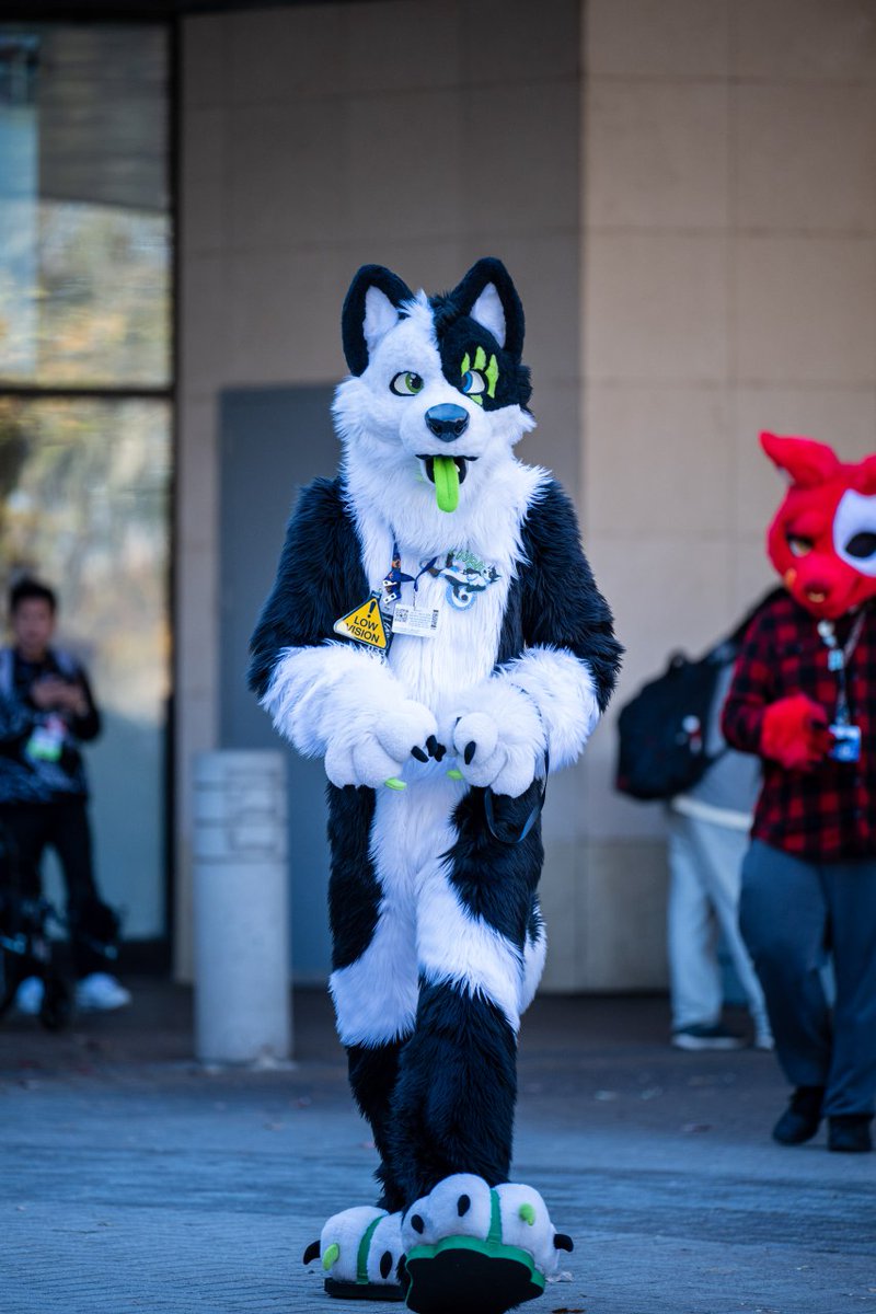 KybaCWC's tweet image. take a walk, are you coming?
#FursuitFriday
🪡 me ^^ CwC
📸 Hypercat
