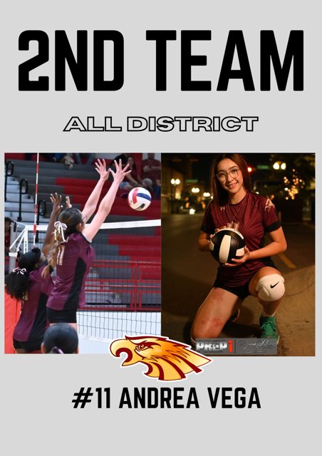 Andress 🦅 Volleyball tweet media