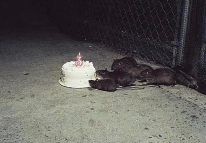 It's my 3rd(y-first) birthday today! Going live at 2:30pm AEST / 7:30pm PST to play DBD and goon😋
Bring all your valuables, cash and inheritance! See you soon 💦