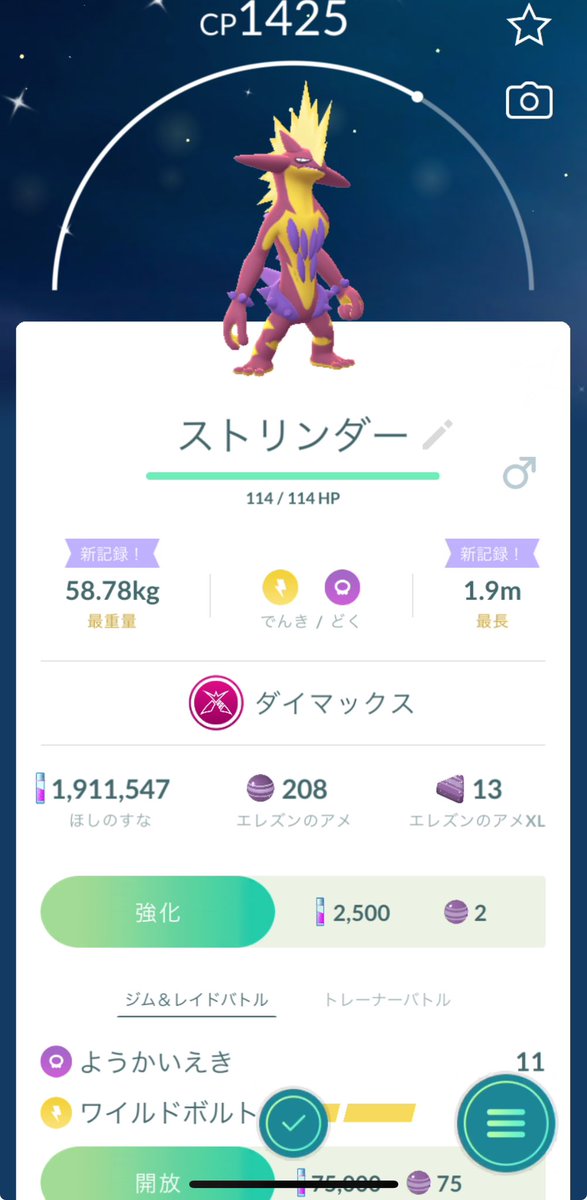 キョダイマックスじゃないけどキラリン！