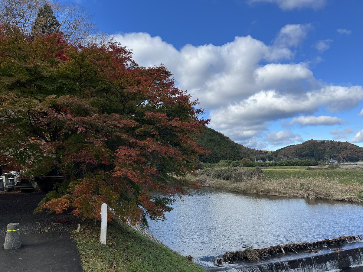 mstnosix's tweet image. 大子町の永源寺（もみじ寺）に来てます
紅葉がとても綺麗でした