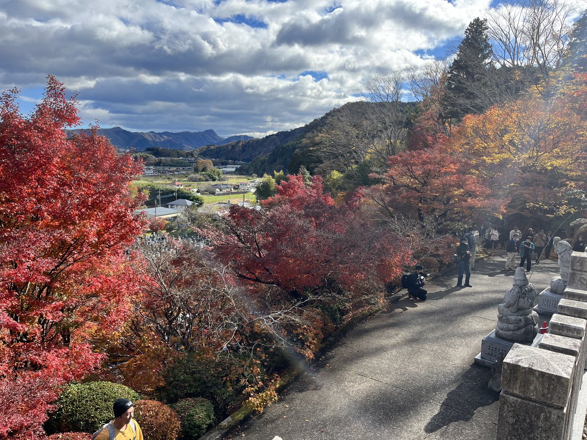 mstnosix's tweet image. 大子町の永源寺（もみじ寺）に来てます
紅葉がとても綺麗でした