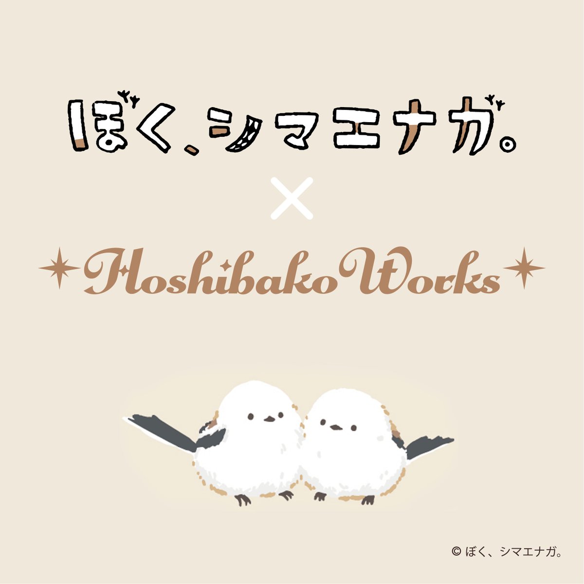 みい様ご確認ページ(2)】ポガリ 明らか