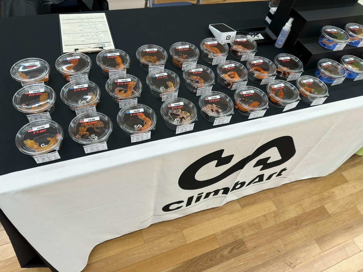 climb_art's tweet photo. レオパフェス、OPENしましたᐠ( ᐛ )ᐟ

皆さんのご来場、お待ちしております✨️ https://t.co/3DduQUDCXk