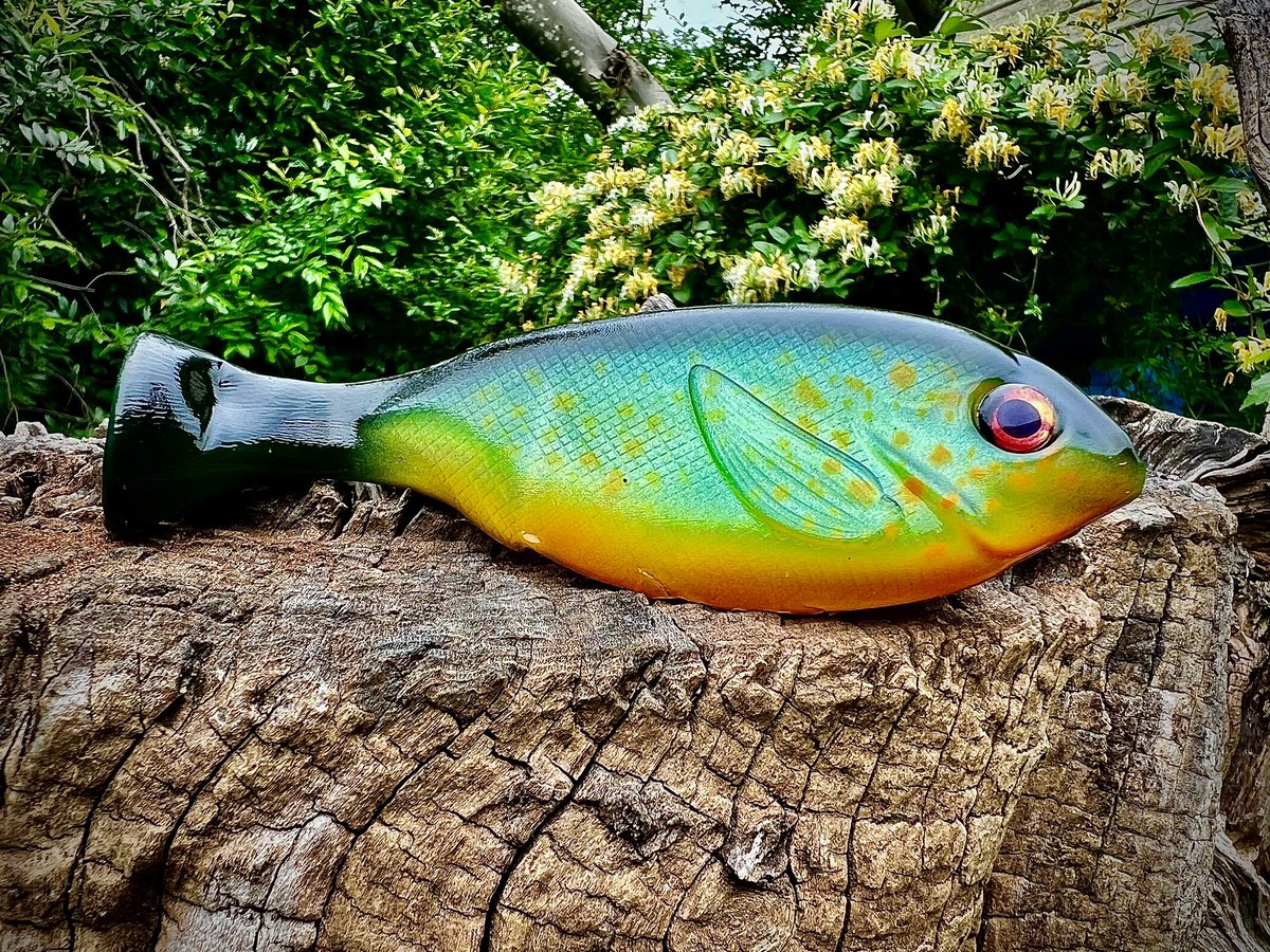 BaitsRiver's tweet image. Custom Painted Halfwit Gill. In Pumpkinseed. 

#halfwit #halfwitgill #swimbaits #swimbaitfishing #swimbaitculture #swimbaitunderground #swimbaitsonly #swimbaituniverse #swimbaitnation #swimbaitjunkies #swimbaitfreaks #fishing