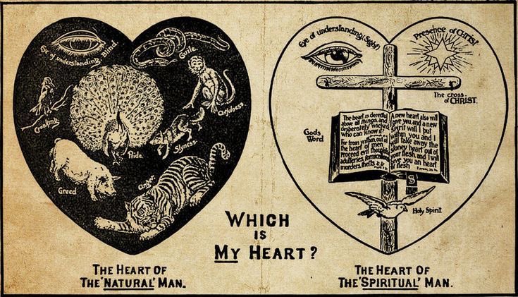 ♱ em (@seraphicmaria) on Twitter photo 