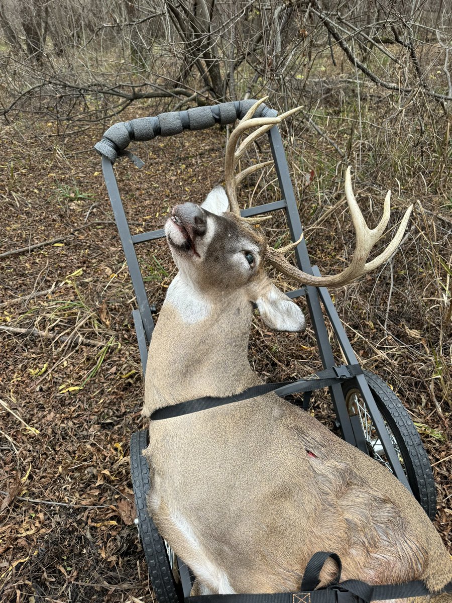 David Bess tweet media