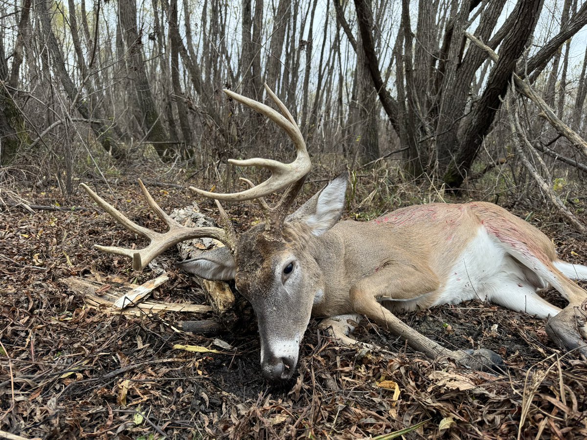 David Bess tweet media