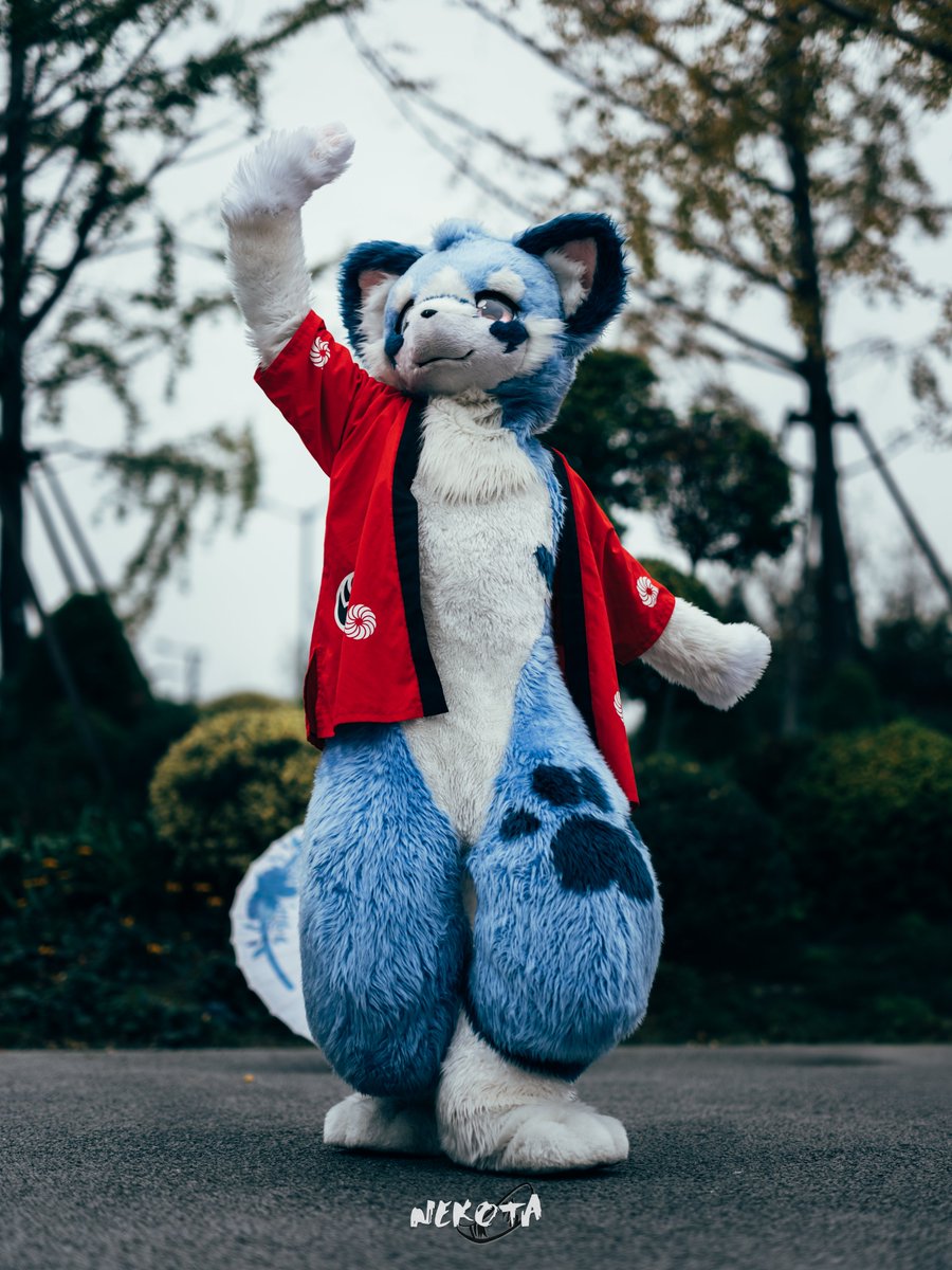 君のために歌い、君のために踊り、君のために祝福を捧げる

#FursuitFriday 
📸by <a href="/hinekota/">ネコタ@NEKOTA➡SFF</a>