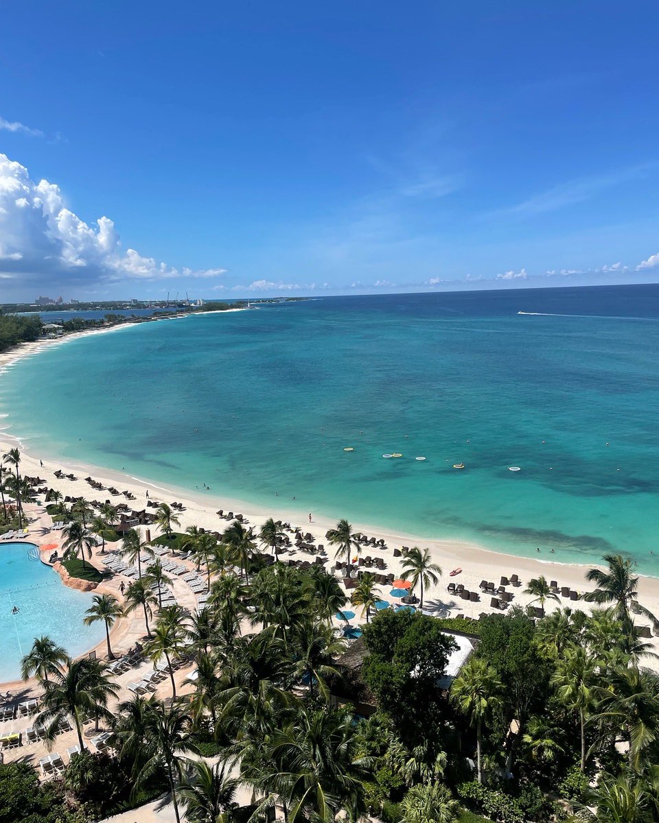 David Thomas tweet media