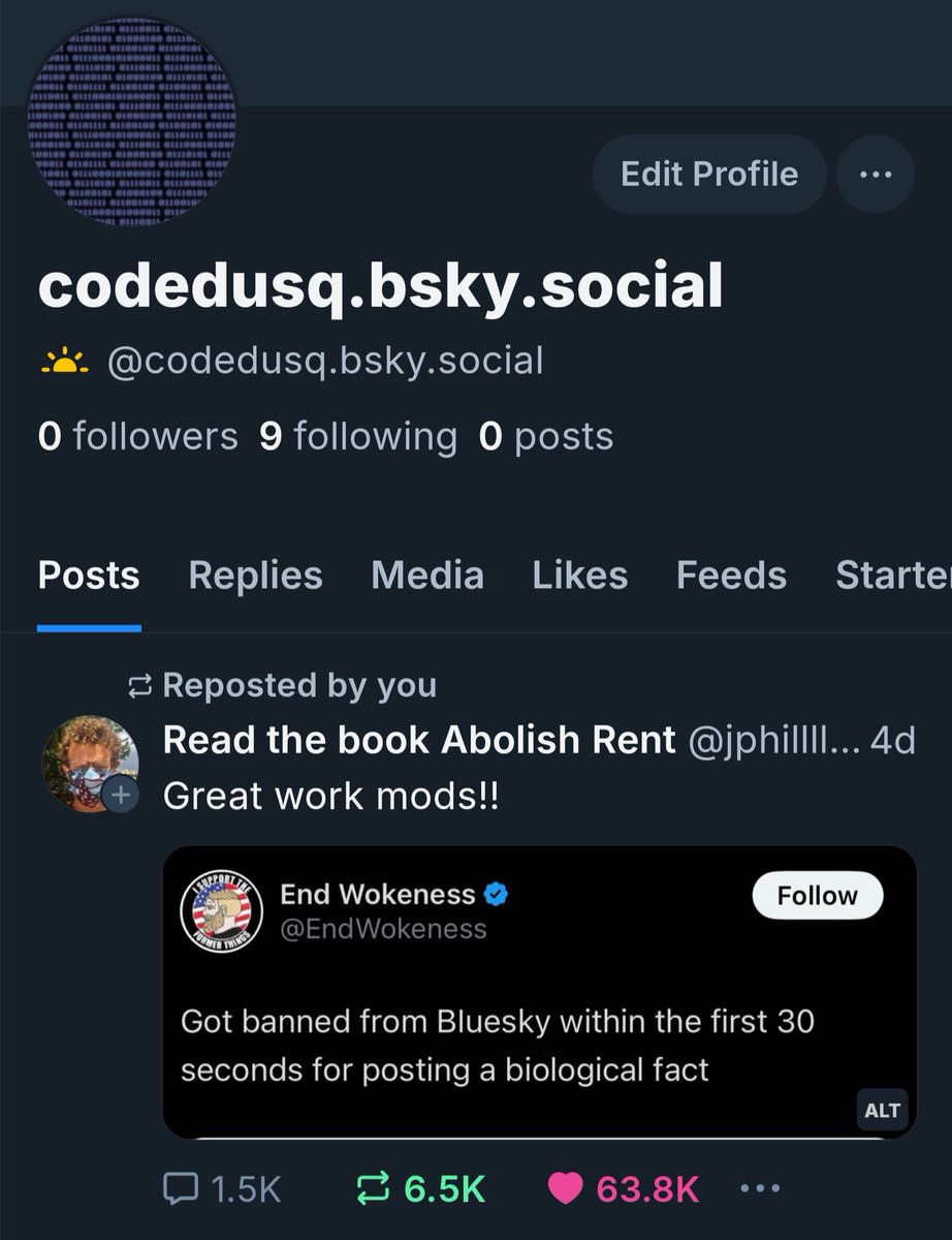 CodeDusq tweet media