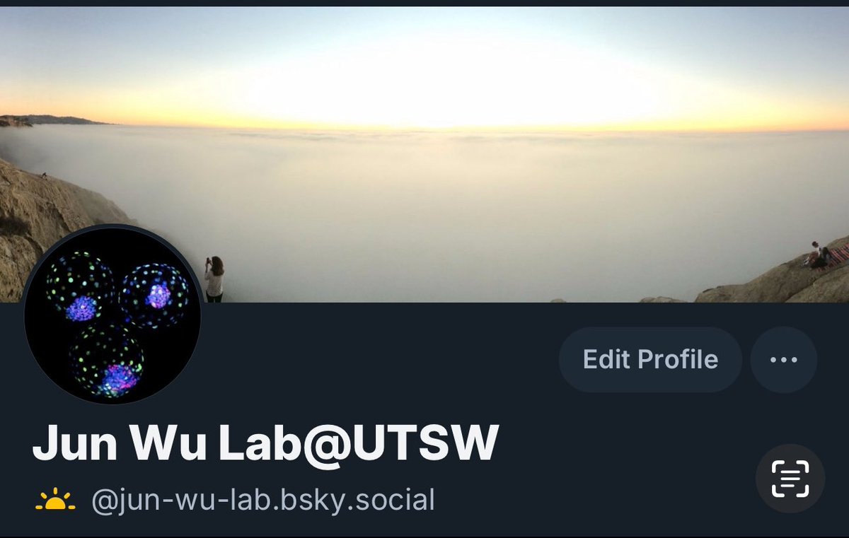 leo_jwu's tweet image. See you in bluesky