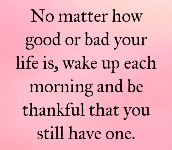 Big_Rob_Mac's tweet image. 