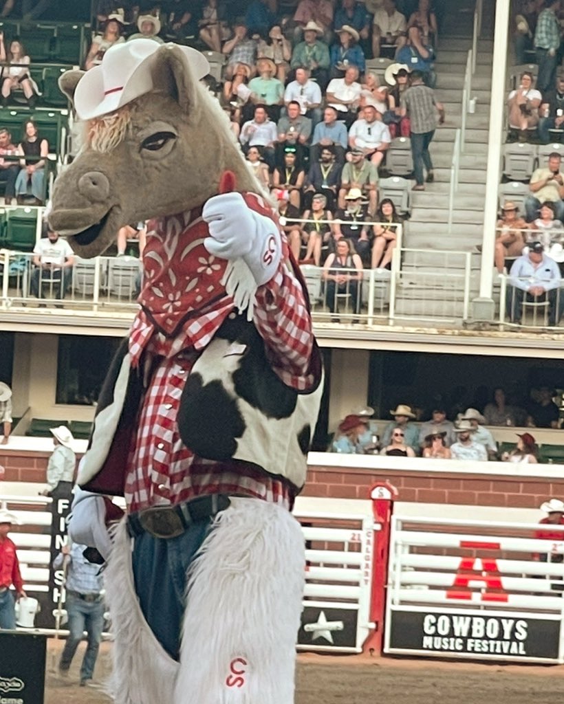 Harry The Horse tweet media