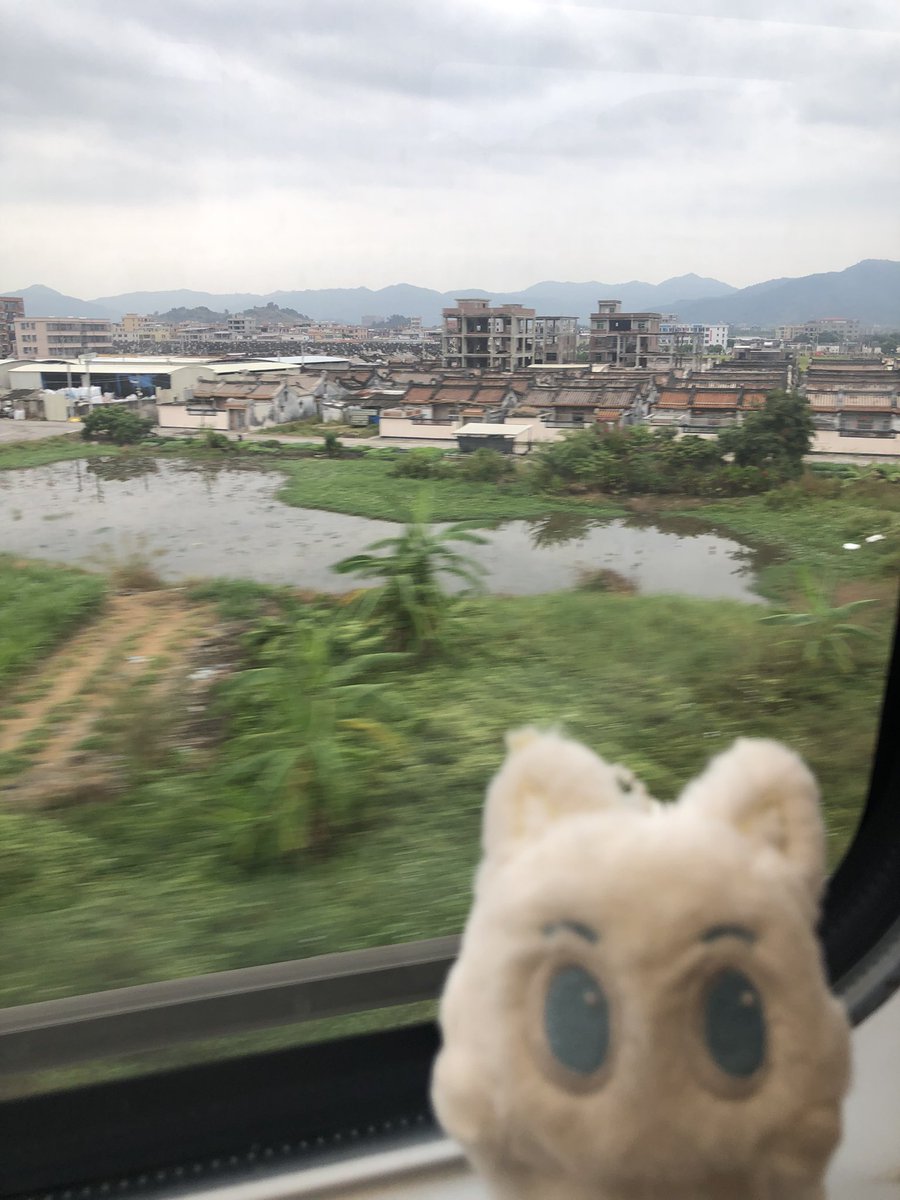 renjunmomo tweet media