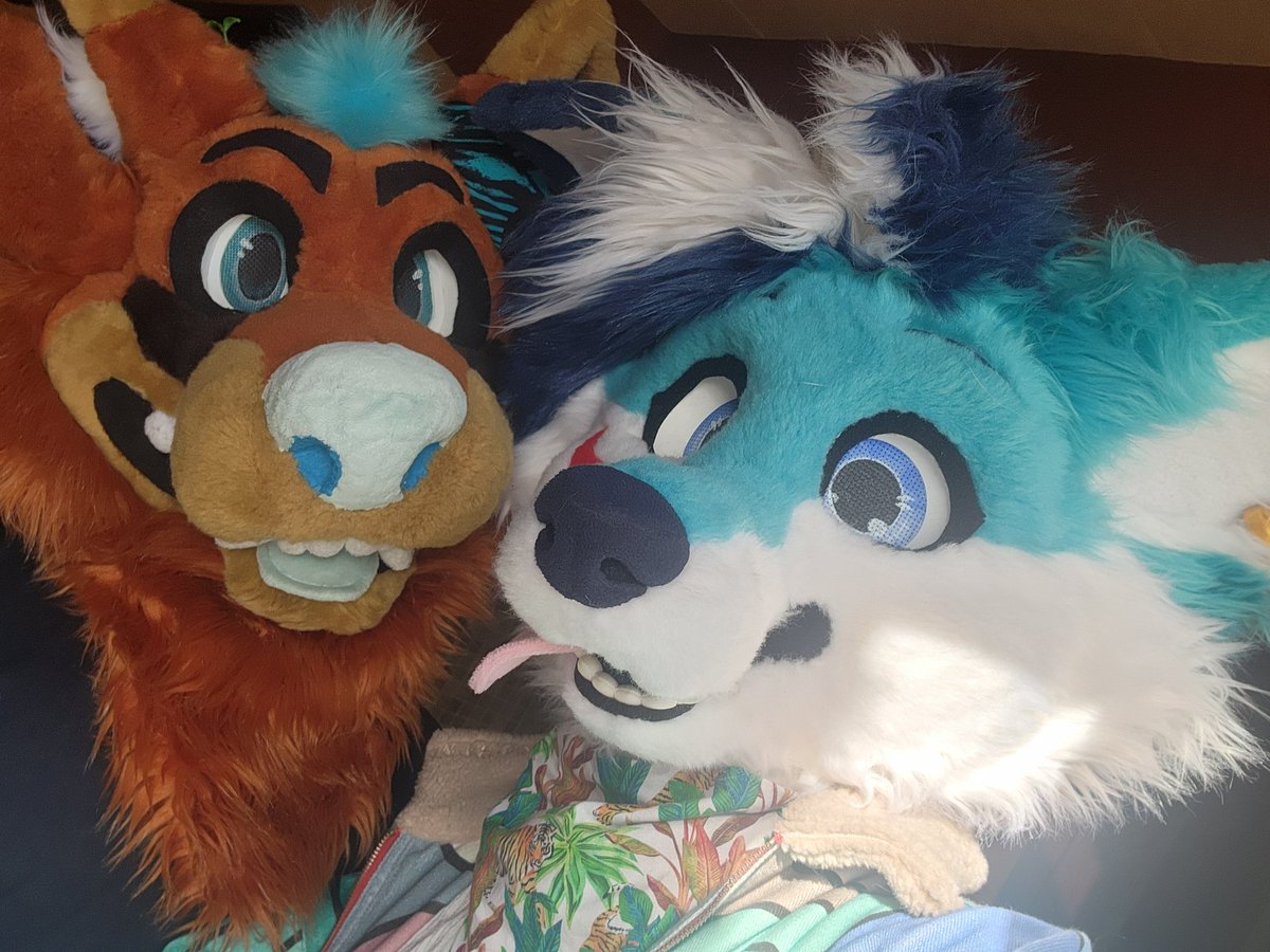 what the dogs doin #FursuitFriday ft. <a href="/Leggiiboii/">Dome Depot™</a>