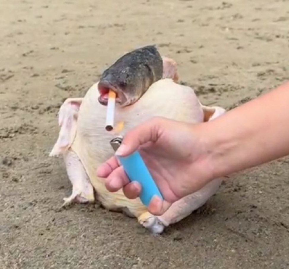 <a href="/elliotrades/">EllioTrades</a> Not when it's a certified religion so left curved they'd be curious and be part of the church of $SCF imo 🚬🐔🐟