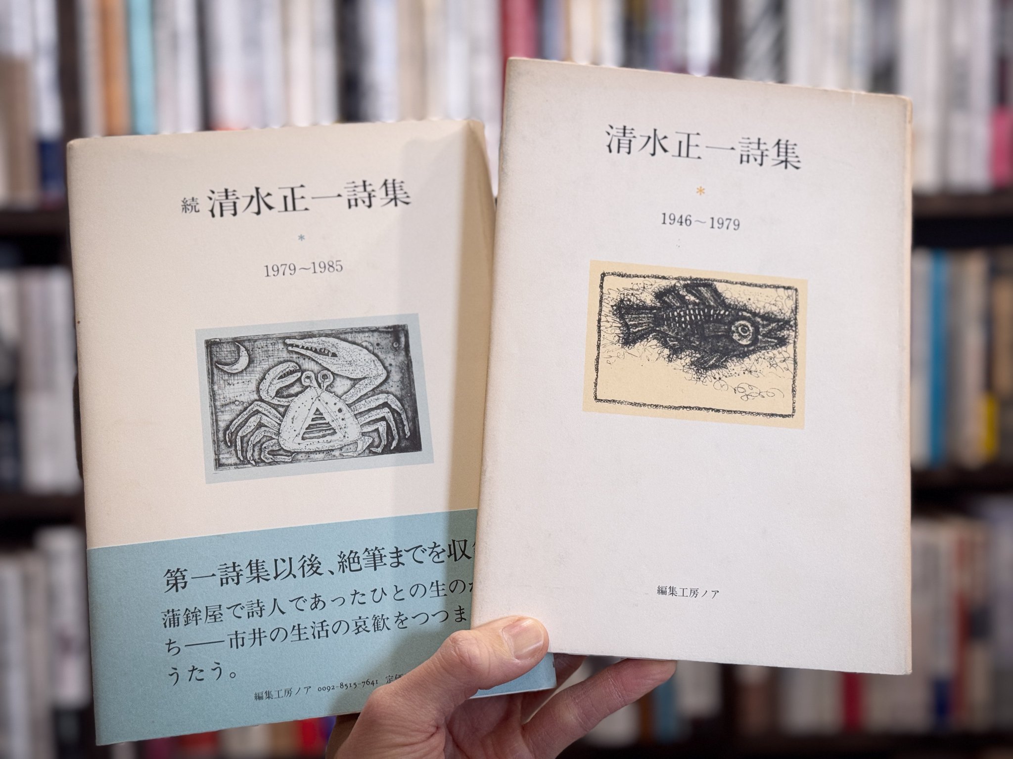 『清水正一詩集 』『続 清水正一詩集』正続揃い ２冊セット 編集工房ノア 清水正一詩集 』『続 清水正一詩集』正続揃い 2冊セット 編集