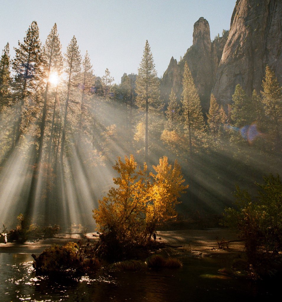 JAMESPIPERPHOTO's tweet photo. Yosemite on 35mm https://t.co/W61dN24LBi