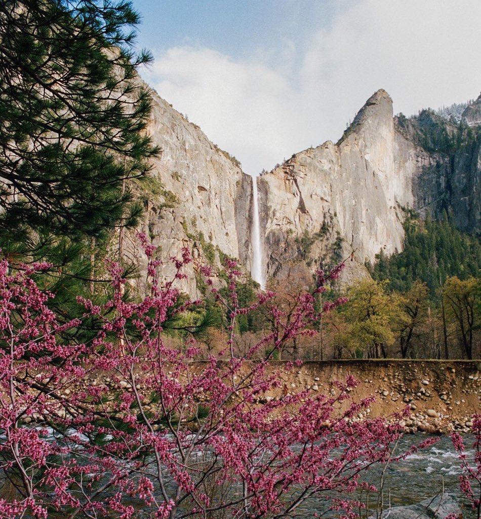 JAMESPIPERPHOTO's tweet photo. Yosemite on 35mm https://t.co/W61dN24LBi