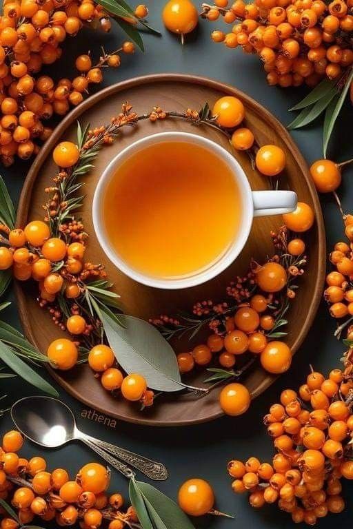 고곡창 (@gogokchang) on Twitter photo 