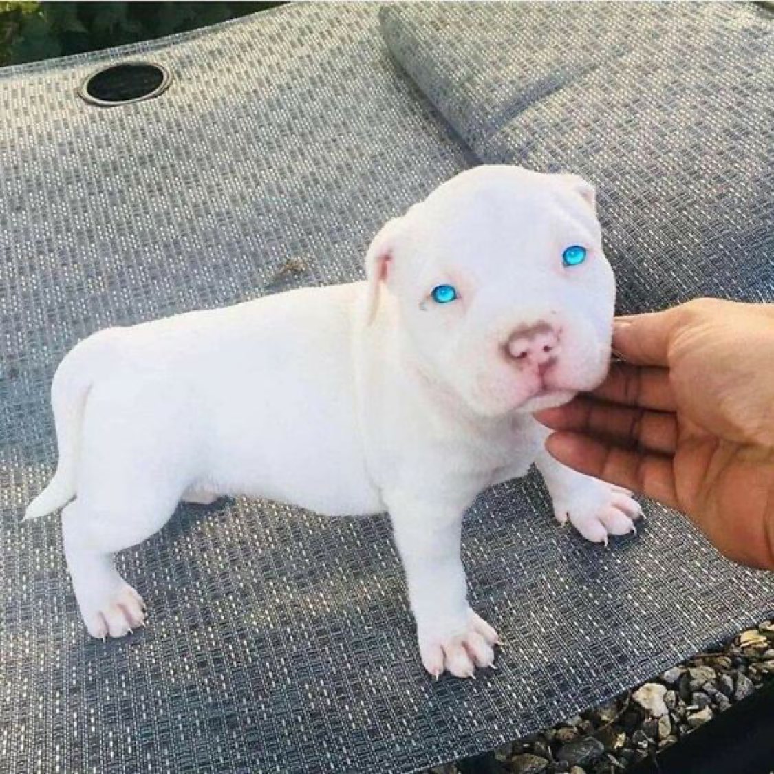 Couch Stlrs 🥇 tweet media