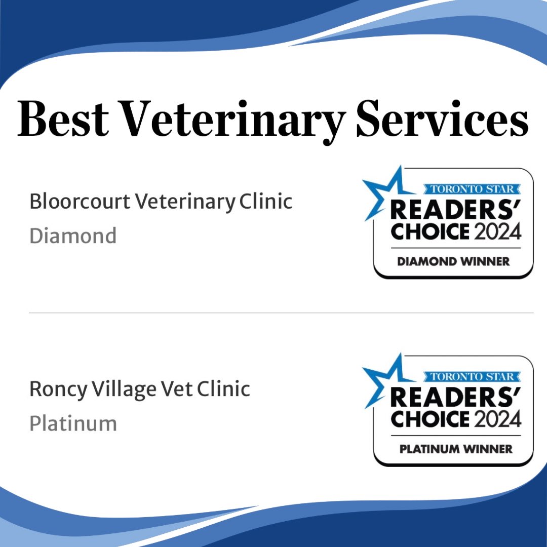 🎉🥳 Roncy Village &amp; our sister clinic Bloorcourt won 1st &amp; 2nd place as Best Veterinary Services &amp; Best Animal Hospital in the Toronto Star’s 2024 Readers’ Choice Awards AGAIN! Thank you for your trust-we love your pets &amp; appreciate your support 🥰 #roncy #roncesvalles #highpark
