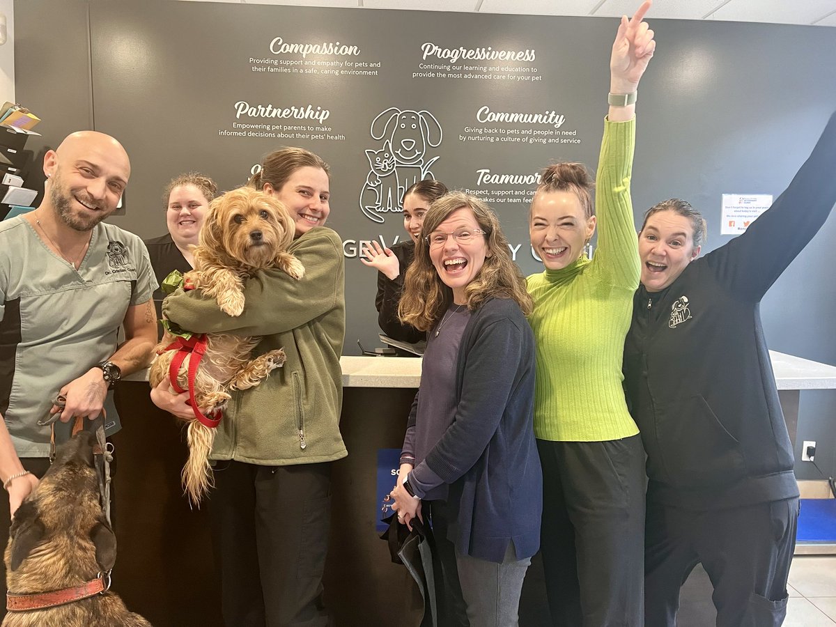 RoncyVet's tweet photo. 🎉🥳 Roncy Village &amp; our sister clinic Bloorcourt won 1st &amp; 2nd place as Best Veterinary Services &amp; Best Animal Hospital in the Toronto Star’s 2024 Readers’ Choice Awards AGAIN! Thank you for your trust-we love your pets &amp; appreciate your support 🥰 #roncy #roncesvalles #highpark https://t.co/QatCsRaos9