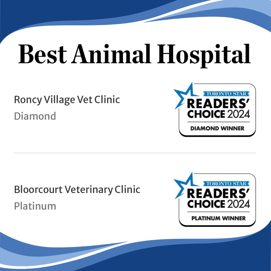 RoncyVet's tweet photo. 🎉🥳 Roncy Village &amp; our sister clinic Bloorcourt won 1st &amp; 2nd place as Best Veterinary Services &amp; Best Animal Hospital in the Toronto Star’s 2024 Readers’ Choice Awards AGAIN! Thank you for your trust-we love your pets &amp; appreciate your support 🥰 #roncy #roncesvalles #highpark https://t.co/QatCsRaos9