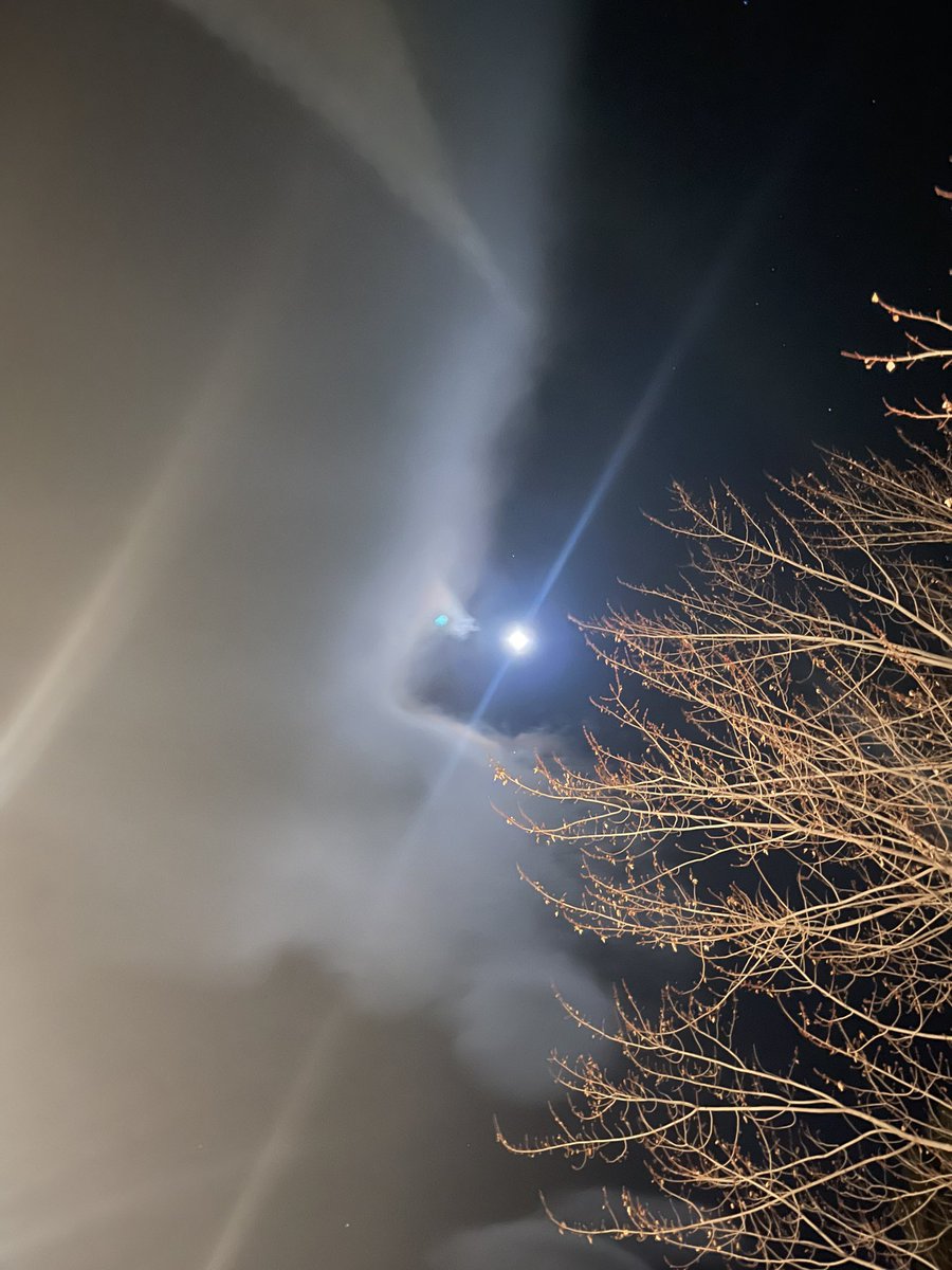 Will Gill tweet media