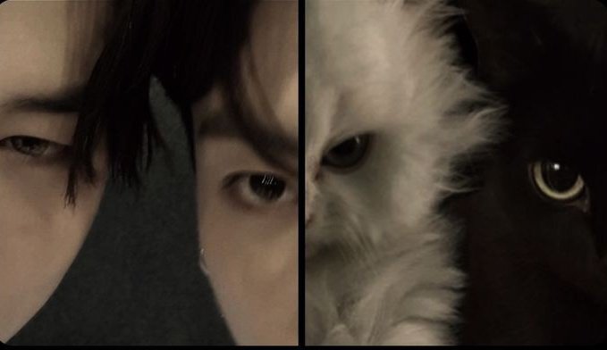 _busancouple's tweet photo. https://t.co/Xo14H5npL8