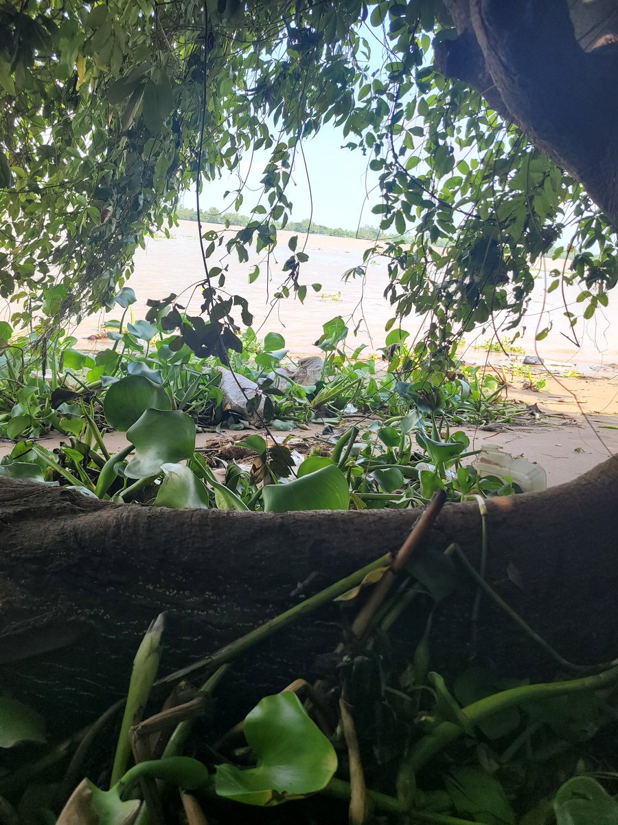 outdoorOmon's tweet photo. Chiều nay có kèo, bạn nào chốt không tầm 3h nhà máy nhiệt điện https://t.co/7Yc2EmgFrv