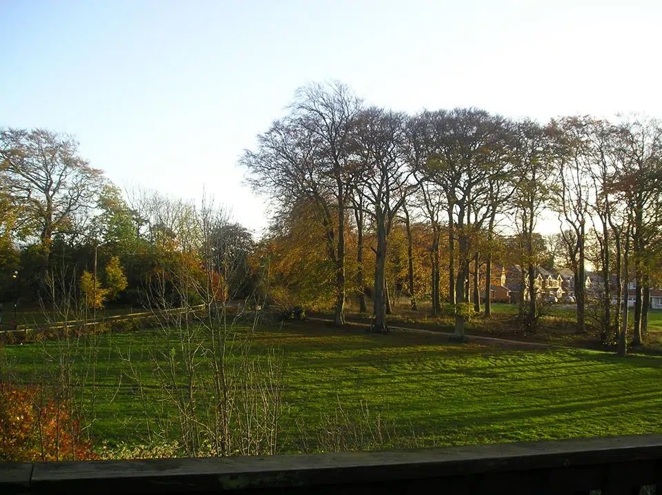 1. Thành nghỉ việc nhanh chóng sau 2 tháng làm sale ở 1 DN. Thành tìm việc khác, chỗ dăm ba tháng, chỗ 1 năm, rồi nghỉ vì cùng 1 lý do là "không thích", "không thấy đam mê". Em chỉ làm công việc mà mình yêu thích, mình đam mê, em chỉ có thể nói chuyện được với